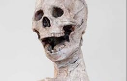 אסי משולם – טוטם