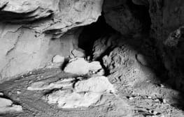 גסטון צבי איצקוביץ