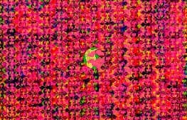 ג’ניפר בר-לב