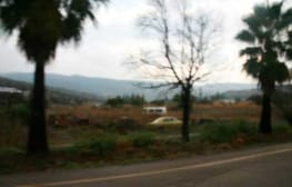 סיון ניסדלסקי – ללא כותרת