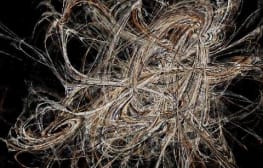 “עיוות”- פרט מעבודת וידיאו של גיא יצחקי