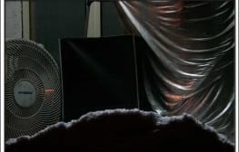 טמיר ליכטנברג – זְחוּחִית