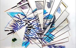 הילה טוני נבוק