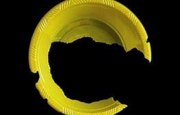 גיא גולדשטיין