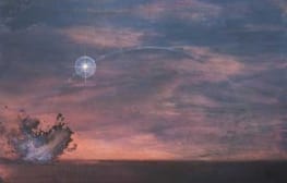 רוני שניאור