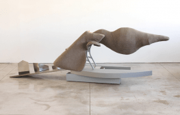 סיגל פרימור