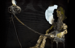 צבי טולקובסקי