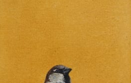 יעל גורן שטראוס