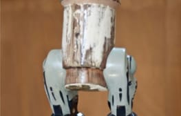 שי עיד אלוני