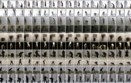 לא רק יין זול: דור ההמשך, ה-28.4.2011 – המלצות השבוע של דורית פוקץ’