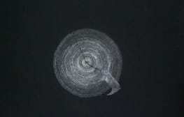 יעל בן שלום