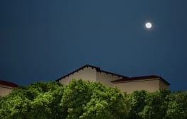 ליאת אלבלינג