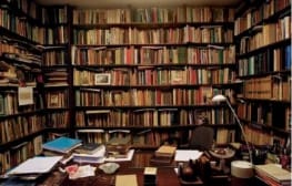 טלי אמיתי-טביב