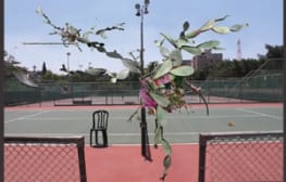 רב ערב: 13.9.2011