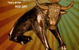 רב ערב: מסיבה בצימר