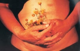 נפטרה האמנית יהודית מצקל