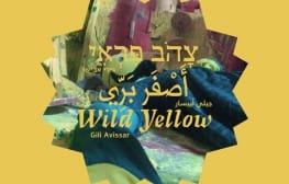 רב ערב 30.4.2013