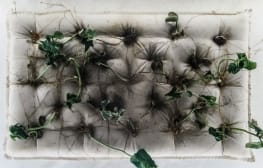 ענבל הופמן, Incubator 3