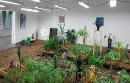 רב ערב 10.12.13