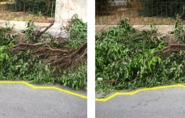 נעה גינזבורג, ללא כותרת, 2011