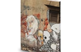 רב ערב 25.2.2014