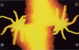 רב ערב 20.5.2014