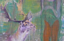 רב ערב 10.6.2014