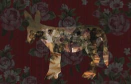 “חוכמת ההמונים” ב”חג של החגים” בחיפה